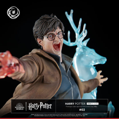 Harry Potter IKIGAI 1/6 Statue (30 cm)